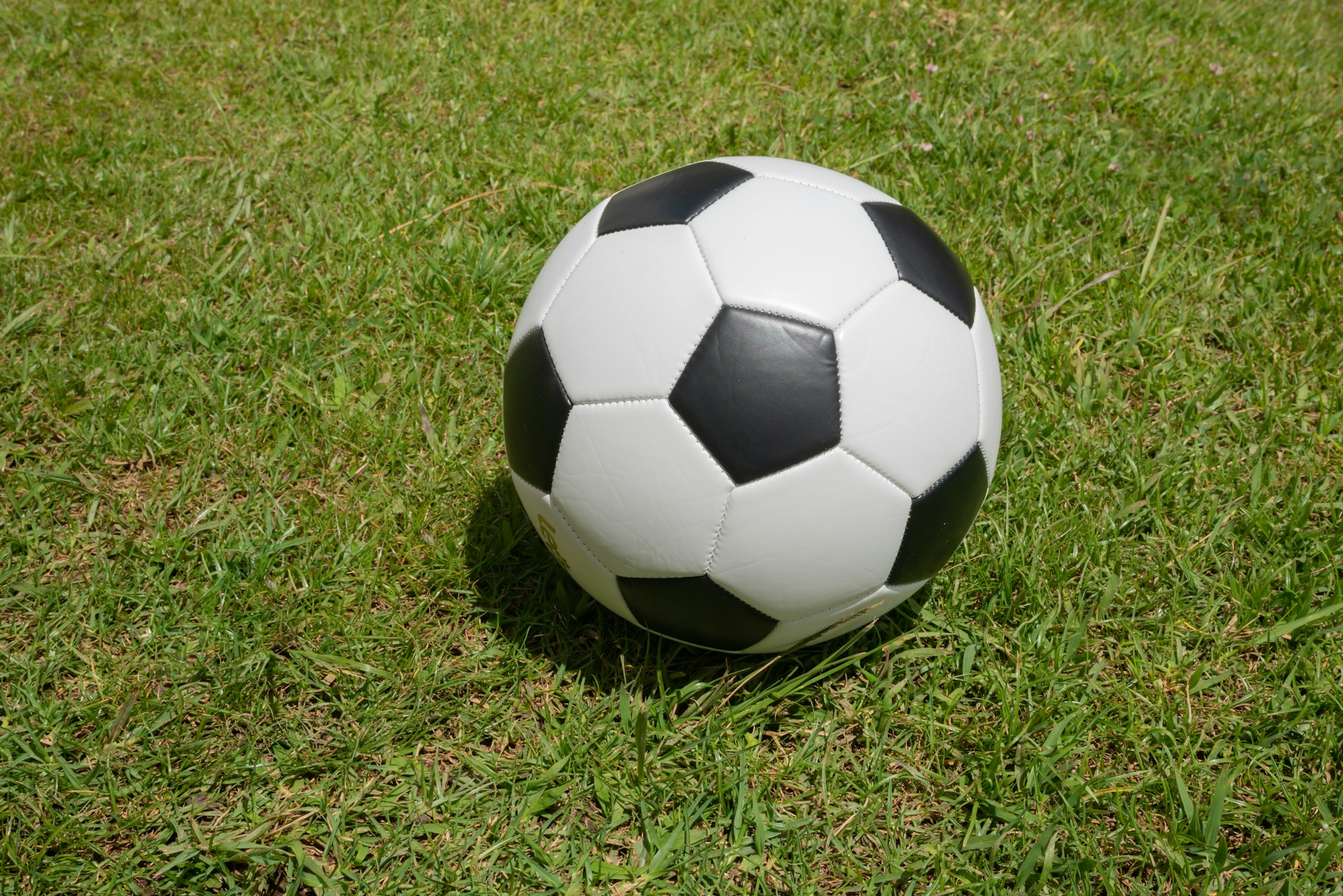 Football resting on the grass of a playing field